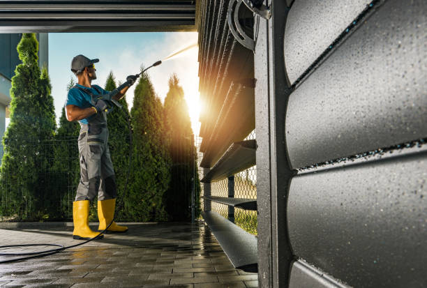 Best Driveway Pressure Washing  in Chapman, KS